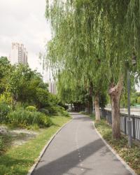 Zhejiang Diary #3: Shanghai’s Old City
