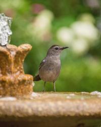 The Ultimate Summer Home Maintenance Checklist: Protecting Your Outdoor Space From Pests and Damage