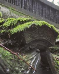 Zhejiang Diary #4: Hangzhou