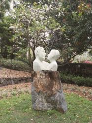 Golden Wedding Anniversary