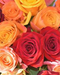 Birthday Flower Options for Recipients Who Enjoy Traditional Gifts