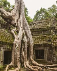 Cambodia for First-Time Visitors