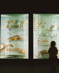 5 Smart Tips for Planning Memorable School Trips