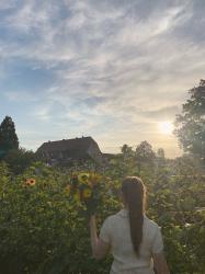Recolecta flores y crea tu ramo: Escapada floral a 20 minutos de Fráncfort