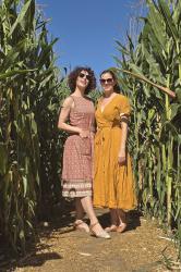 Aus Spätsommer wird Herbst: Monatsrückblick für September