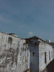 Pictures I Took This Month