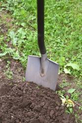 How to Install a Beautiful Lawn: A Step-by-Step Guide to Sod Installation and Care
