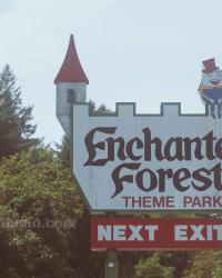 Exploring Oregon’s Strange and Adored Enchanted Forest