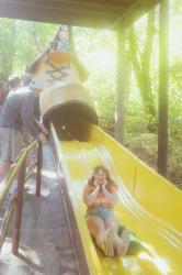 Exploring Oregon’s Strange and Adored Enchanted Forest