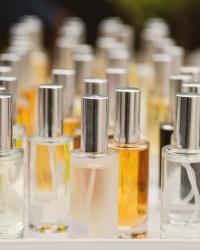 Perfume Notes Explained: Reading the Fragrance Pyramid